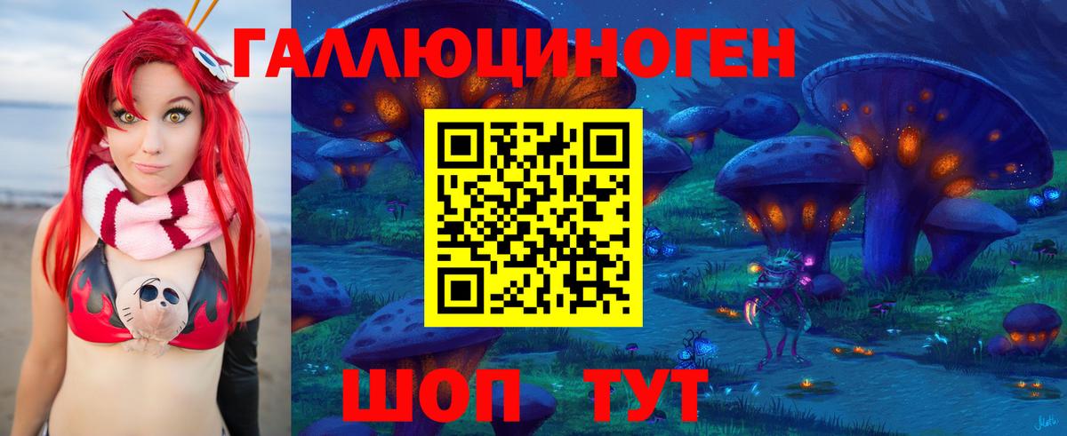 Галлюциногенные грибы Psilocybine cubensis Ковров